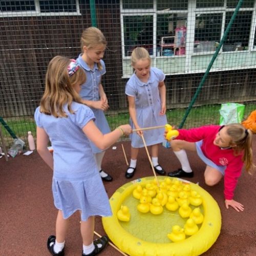 Y6Fair2