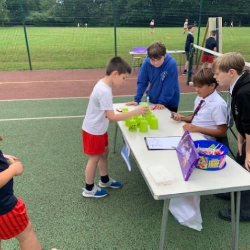 Y6Fair3