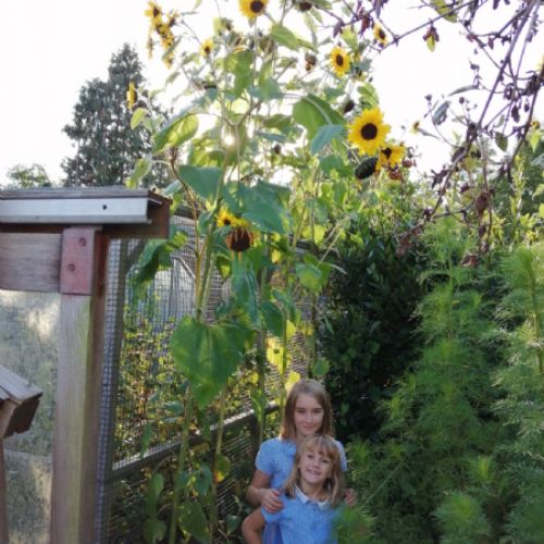 MarthaandGraceBarrow-Yr6andYr3-330cm