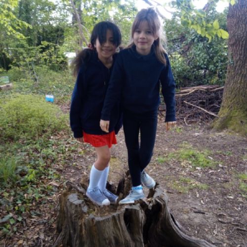 Y4 Outdoor Learning