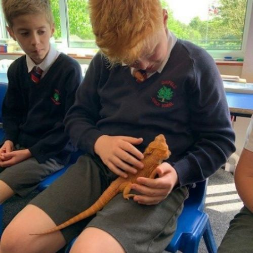 Year 6 Reptile Workshop