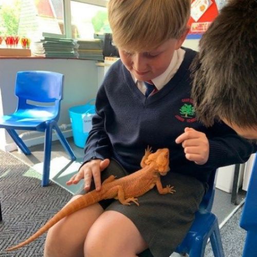 GeorgeSlizard