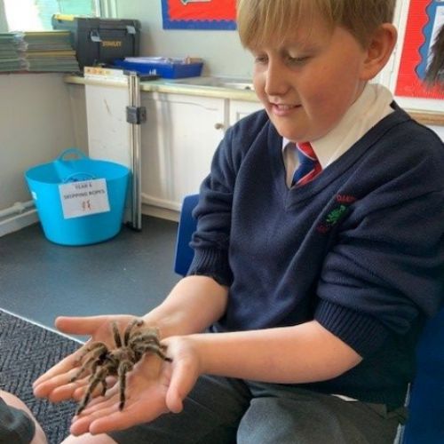 GeorgeSspider