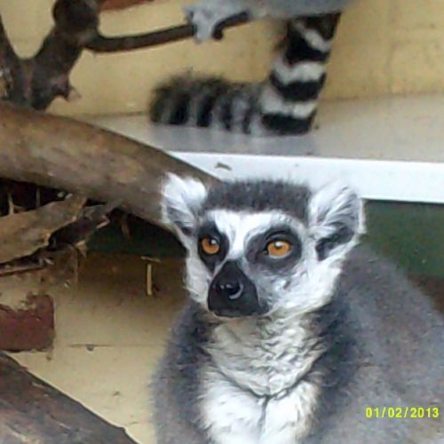 DSCF0027