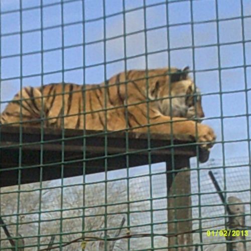 DSCF0053