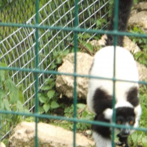 DSCF0080