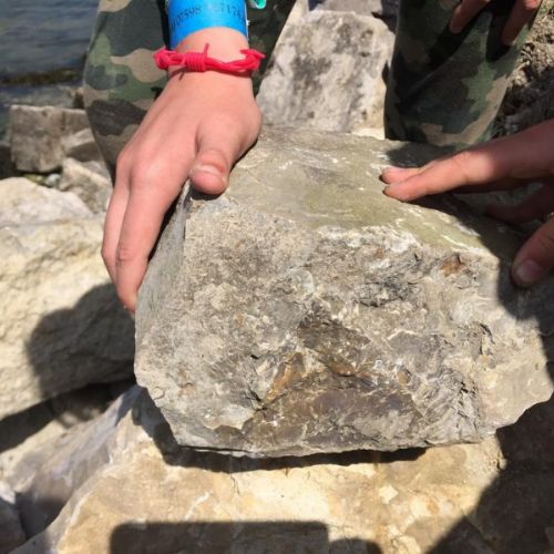 IMG-20190628-WA0003