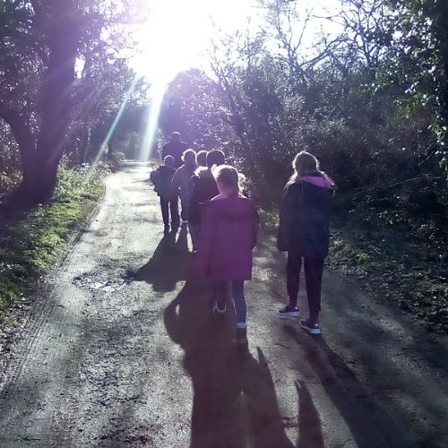 IMG2023-02-01-11-36-20-196