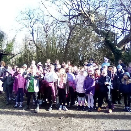 IMG2023-02-01-11-41-16-596