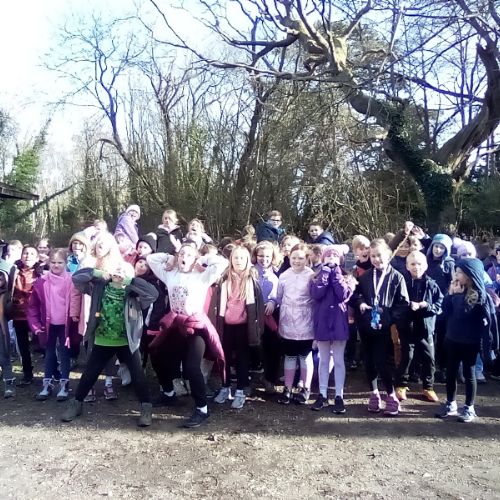 IMG2023-02-01-11-41-26-752