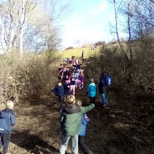 IMG2023-02-01-12-01-27-581
