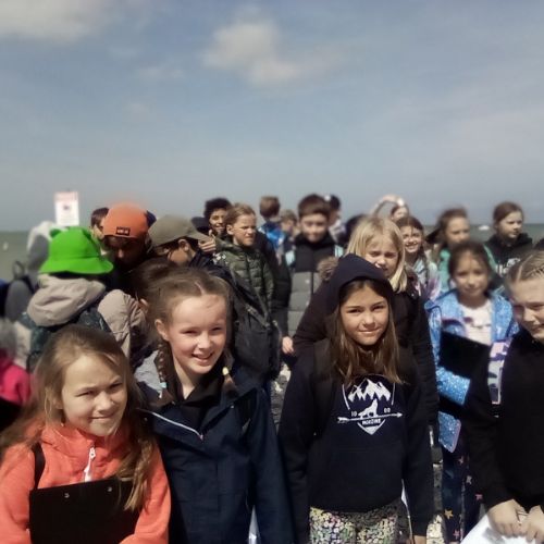IMG2023-05-03-11-16-42-341